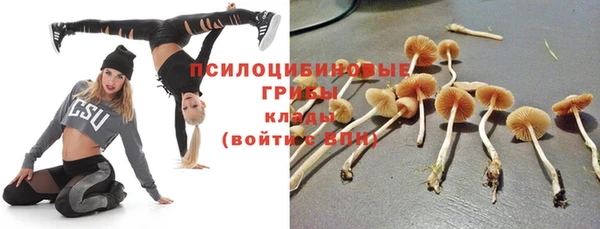 спиды Волосово
