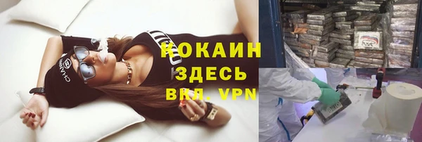спиды Волосово