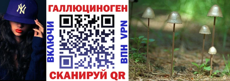 blacksprut сайт  что такое наркотик  Йошкар-Ола  Псилоцибиновые грибы прущие грибы 